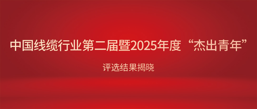 熱烈祝賀民興電纜總經(jīng)理?xiàng)顝s獲中國(guó)線(xiàn)纜行業(yè)“杰出青年”！